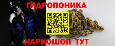 гидропоника Краснокаменск