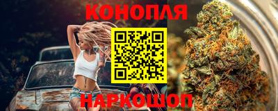 индика Краснознаменск